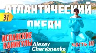 Атлантический океан - акулы.